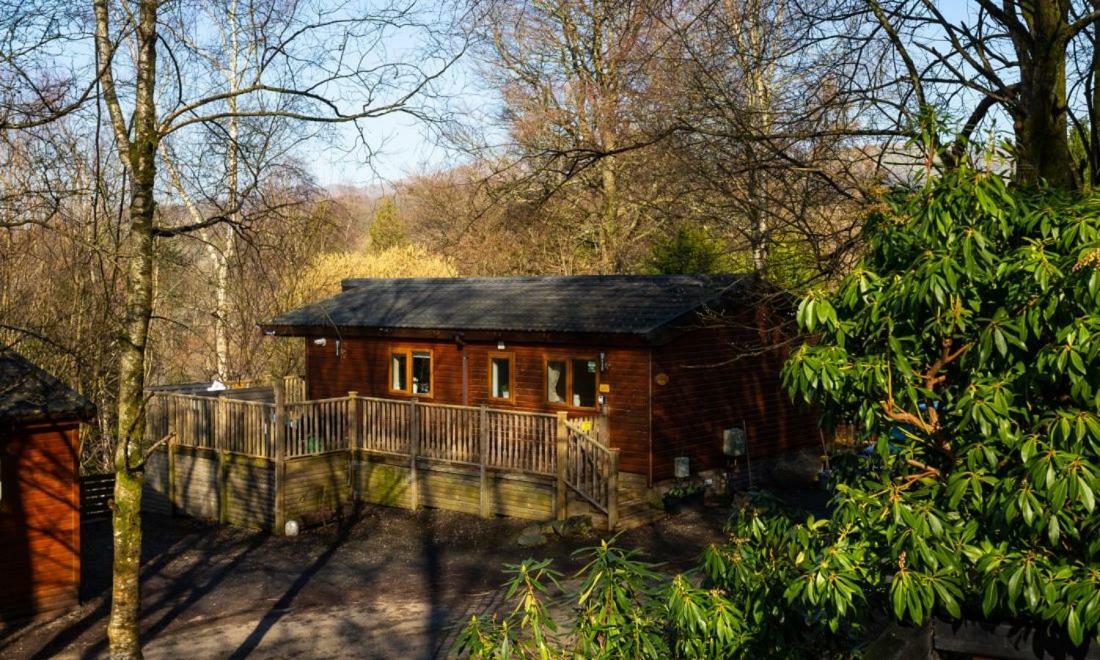 Alojamento de Turismo Selvagem Owls House, White Cross Bay, Ambleside, *